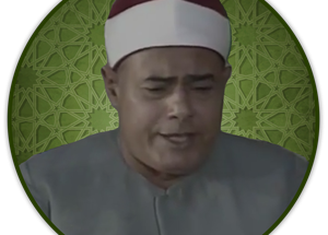 mansour